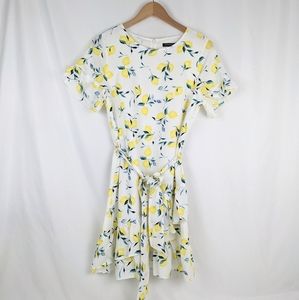 Banana Republic Lemon Ruffle Fit And Flare Dress